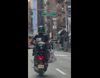 Dog ride at the back of motorcycle along the street 