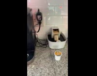 Cat fountain with coffee cup in it 