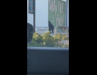 Collab IITW - Woman dance and kick beanie jacket street