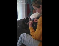 Yellow sweater girl files nails black dog