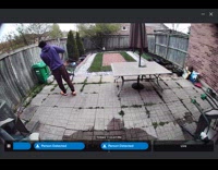 Man pull leashed cat that went over fence