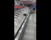 Collab WINY - Furry costume paws at baggage claim