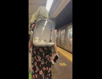 Lady in dress has duck in backpack 