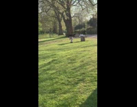 Man dance swing arm repeatedly public park