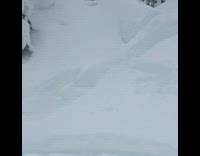 Green Jacket Guy Rides Snowmobile Up HIll Flips Over