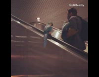 Guy on escalator with two blue birds 