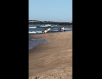Woman black rash guard surfboard photo shoot beach
