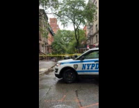 Tree fell in car damage from storm