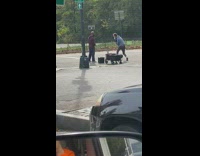 Guy trains in the park with boxing gloves, speaker, and black wagon cart