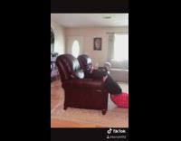 Girl procrastinate homework quarantine