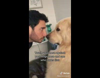 Man Touches his Nose Against Dogs Nose