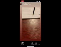 Fat cat lays on floor hello song