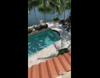 Dog runs across pool area 