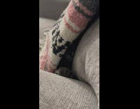 Kitten hide behind scarf suddenly pops out