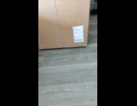 Collab PLC - Carton Rolls Over on Cat as it Reaches for Food