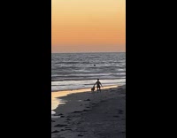Guy and dog playing with ball on beach 