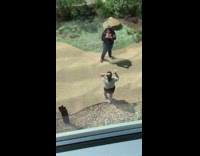 Woman puppet scrunchies tiktok video 