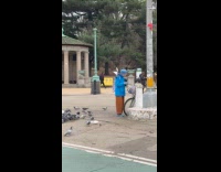 Lady blue jacket feeds pigeon at street