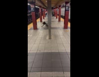 Collab WINY - Man dances on the train platform floor