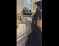 Cat Reaches Ladys Hair and Tastes it