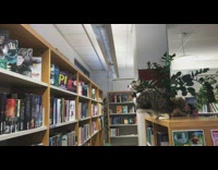 Cat on bookshelf in library slow motion jumps to other shelf