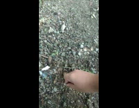 Guy use stem on ground as gear stick