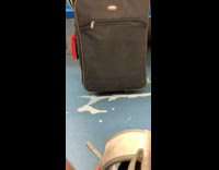 White liquid spills out of womans brain suitcase on subway train