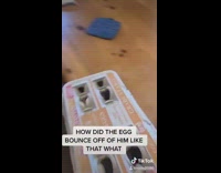 Collab BitchMP - Egg bounces off red shirt guy kitchen