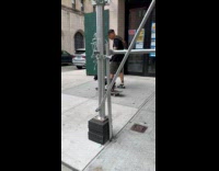 Man walk on street with dog riding skateboard
