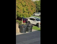 girl push up grass street white car