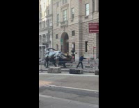 Guy twirls lasso by charging bull statue 