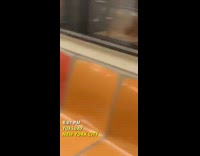Rat on seat on subway train