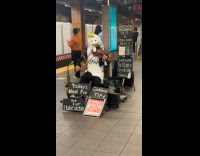 Person wears chicken costume while playing violin