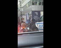 Dog at the back of the man rides at motorcycle 