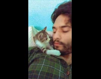 Kitten pull beard kiss guy on lips