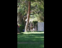 Girl in skirt bikini twerks for dance video 