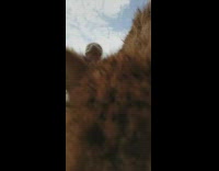 Cheetah and woman scare each other camera