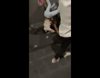 Wood plank breaks guy scorpions on ground