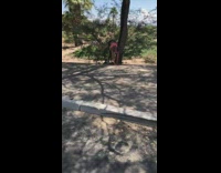 Pink shirt girl handstand fail tree asphalt 