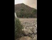 Pink shorts girl poses side of road 