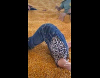 Collab Clips MPUGC - Kid acts like ostrich shoves head on corn