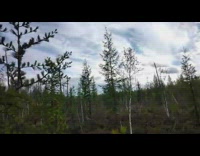 Aircraft drop tons of water directly at filmer