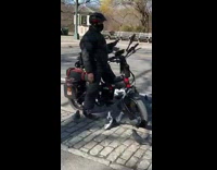 Collab WINY - Man on Motorcycle Feeds Pigeon at Park - carriage passes by