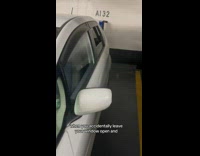 Collab Clips mpugc - Owl inside of car window open