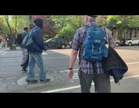 Toy Cars Drive Across Streets 