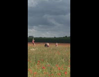 Girl hangs upside down pole flower field  