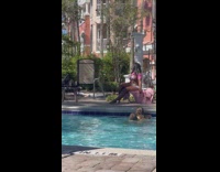 Woman bikini sit pose ripped pink shirt 