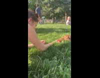 Tortoise crawl at park eat watermelon and grass