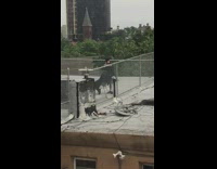 Guy gives haircut on rooftop black cape