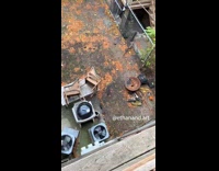 Man smashing fallen pumpkin from balcony